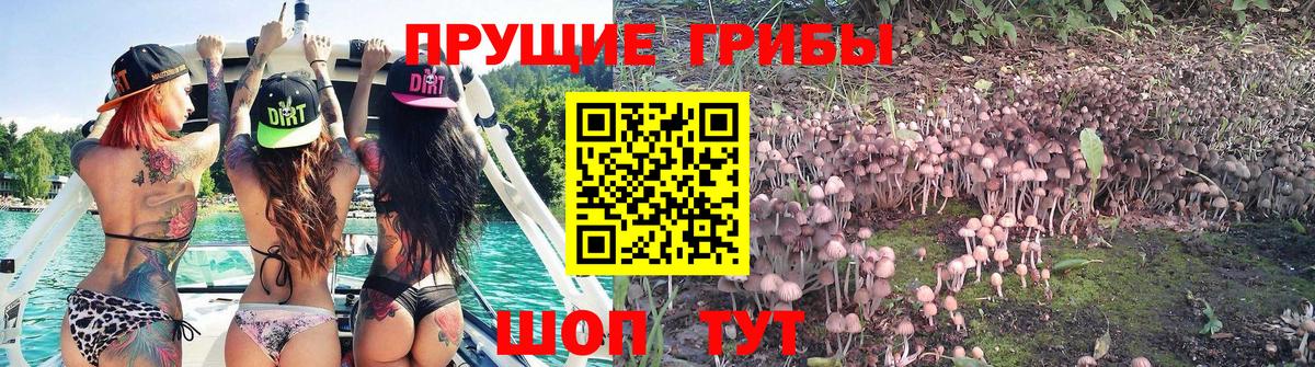 Аргун  Галлюциногенные грибы мицелий  где купить наркоту  Вход с VPN 