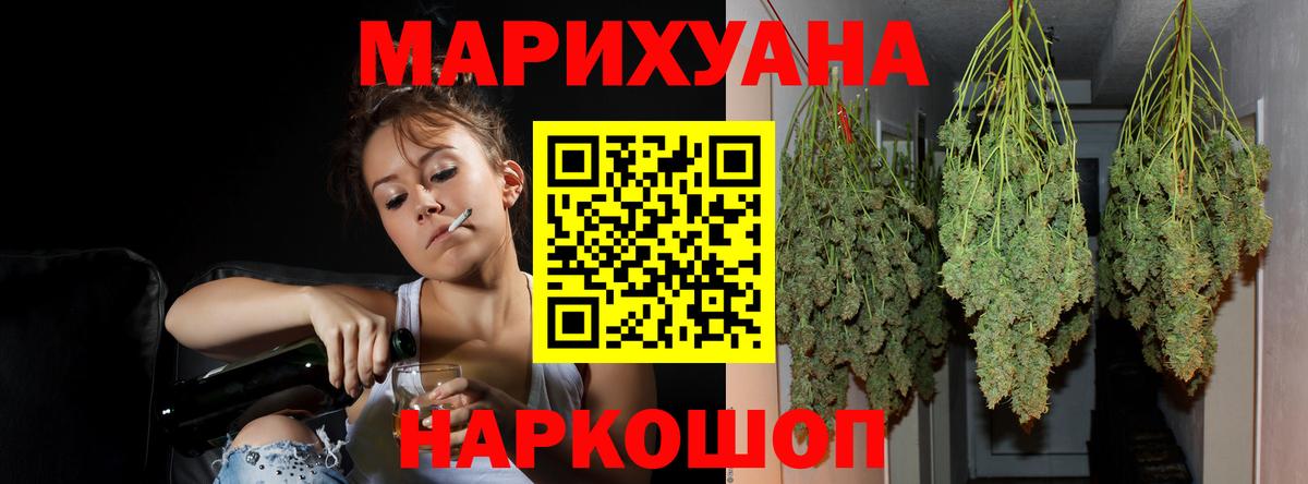 Конопля план Аргун